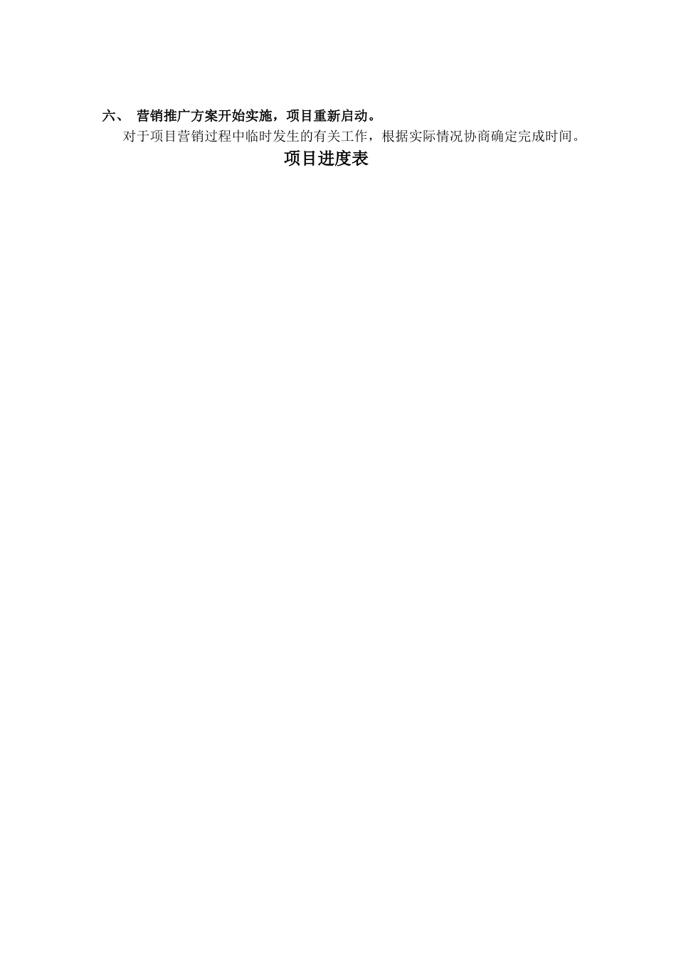 天润归来之执行方案_第3页