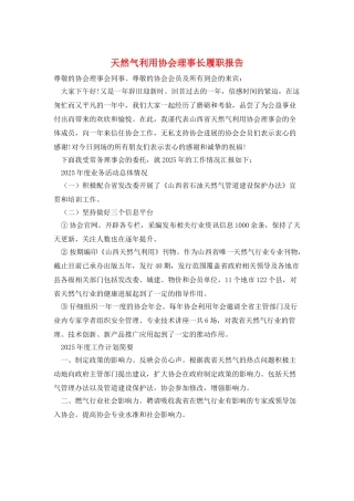 天然气利用协会理事长履职报告