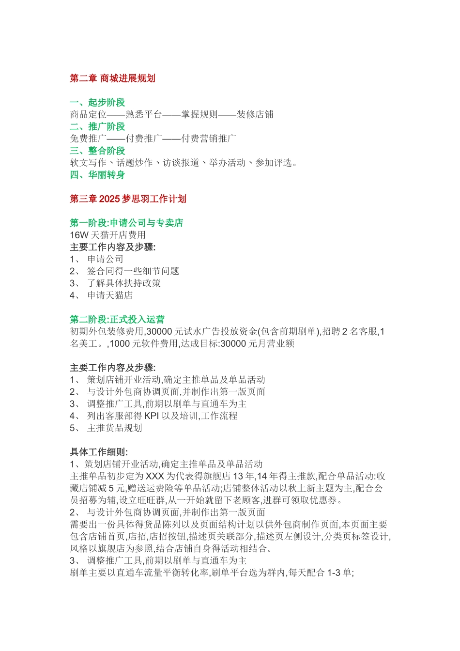 天猫店铺运营计划书_第3页