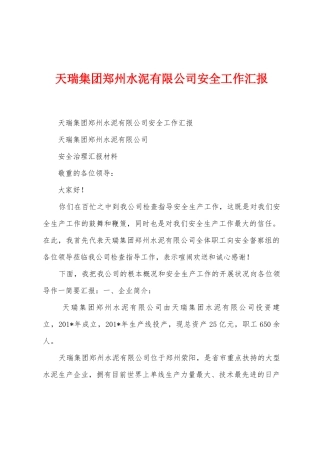 天瑞集团郑州水泥有限公司安全工作汇报
