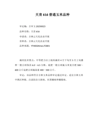 天育616普通玉米品种