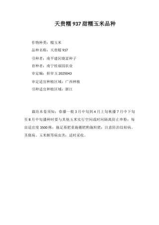 天贵糯937甜糯玉米品种