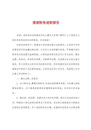 委派财务述职报告