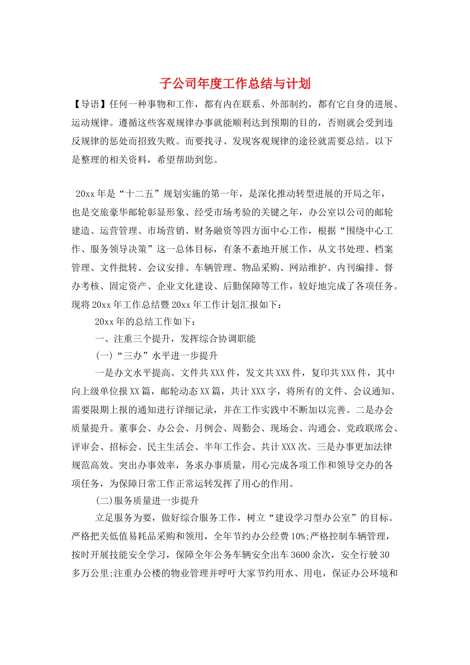 子公司年度工作总结与计划_第1页