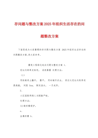 存问题与整改方案2025年组织生活存在的问题整改方案