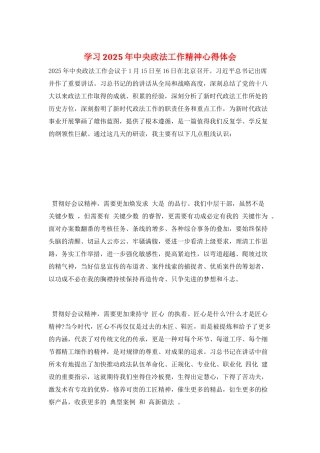 学习2025年中央政法工作精神心得体会