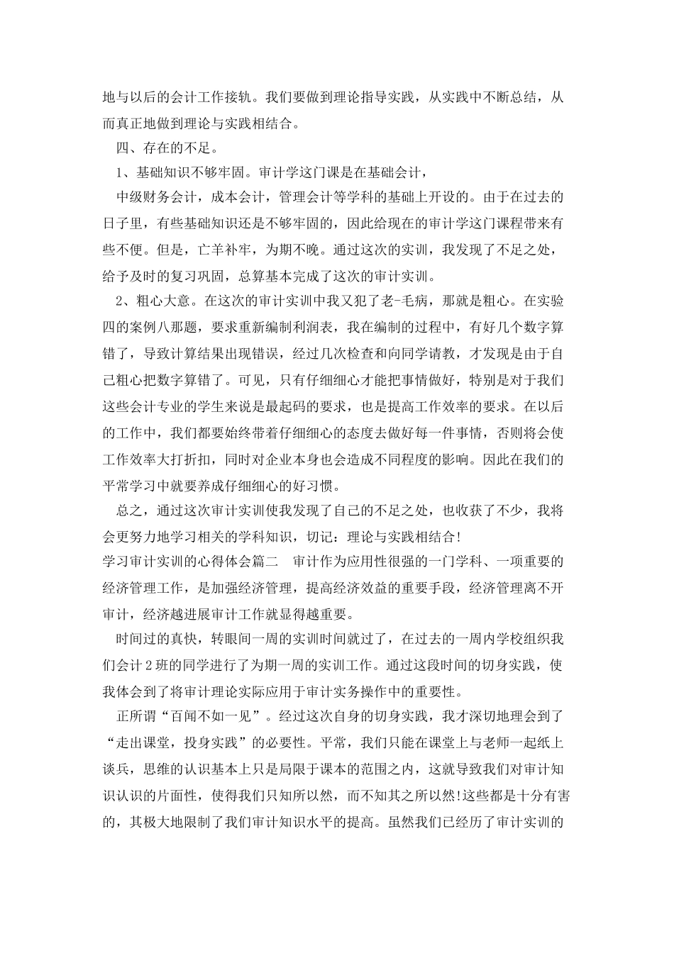 学习审计实训的心得体会_第3页