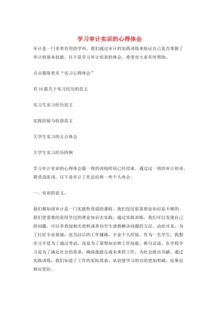 学习审计实训的心得体会
