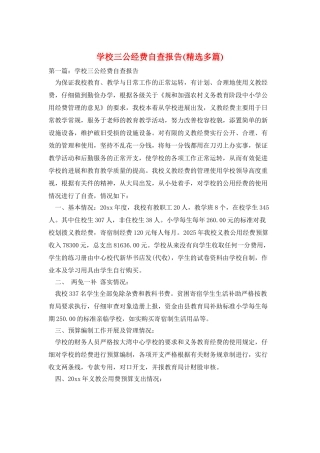 学校三公经费自查报告