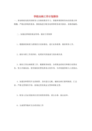 学校出纳工作计划报告