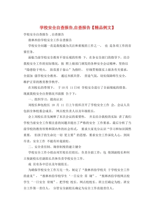 学校安全自查报告-自查报告