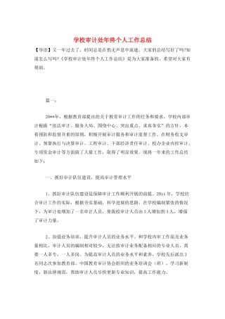 学校审计处年终个人工作总结
