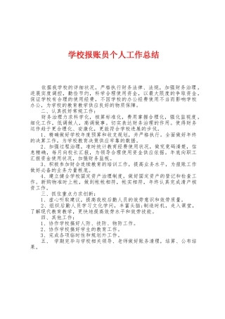 学校报账员个人工作总结
