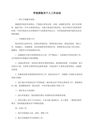 学校报账员个人工作总结