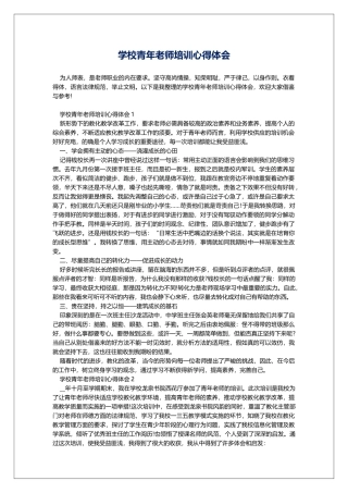 学校青年教师培训心得体会