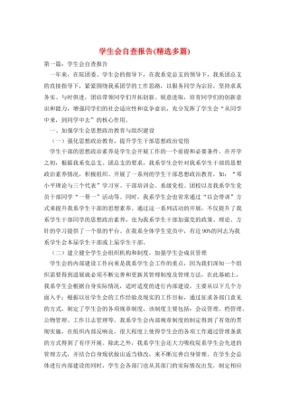 学生会自查报告