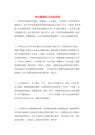 学生寒假实习总结评语