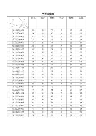 学生成绩表最终效果