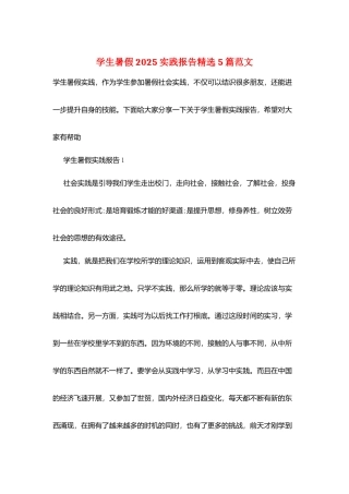 学生暑假2025实践报告精选5篇范文
