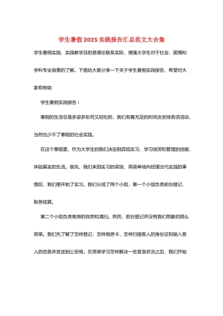 学生暑假2025实践报告汇总范文大合集