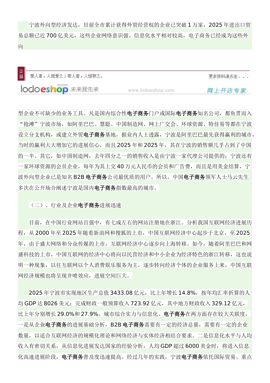 宁波电子商务发展报告_第2页