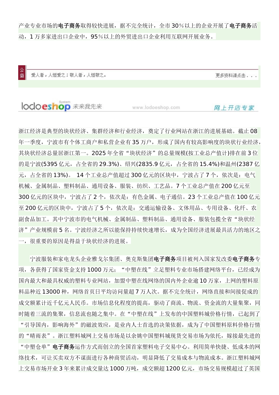 宁波电子商务发展报告_第3页