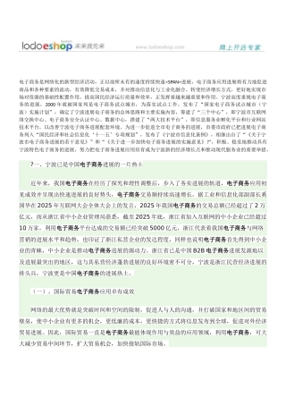 宁波电子商务发展报告