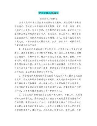 安全文化心得体会