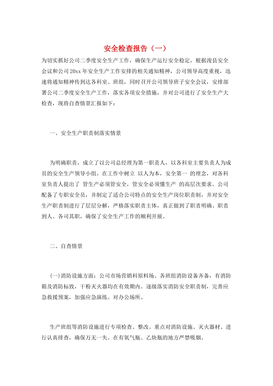 安全检查报告(一)_第1页