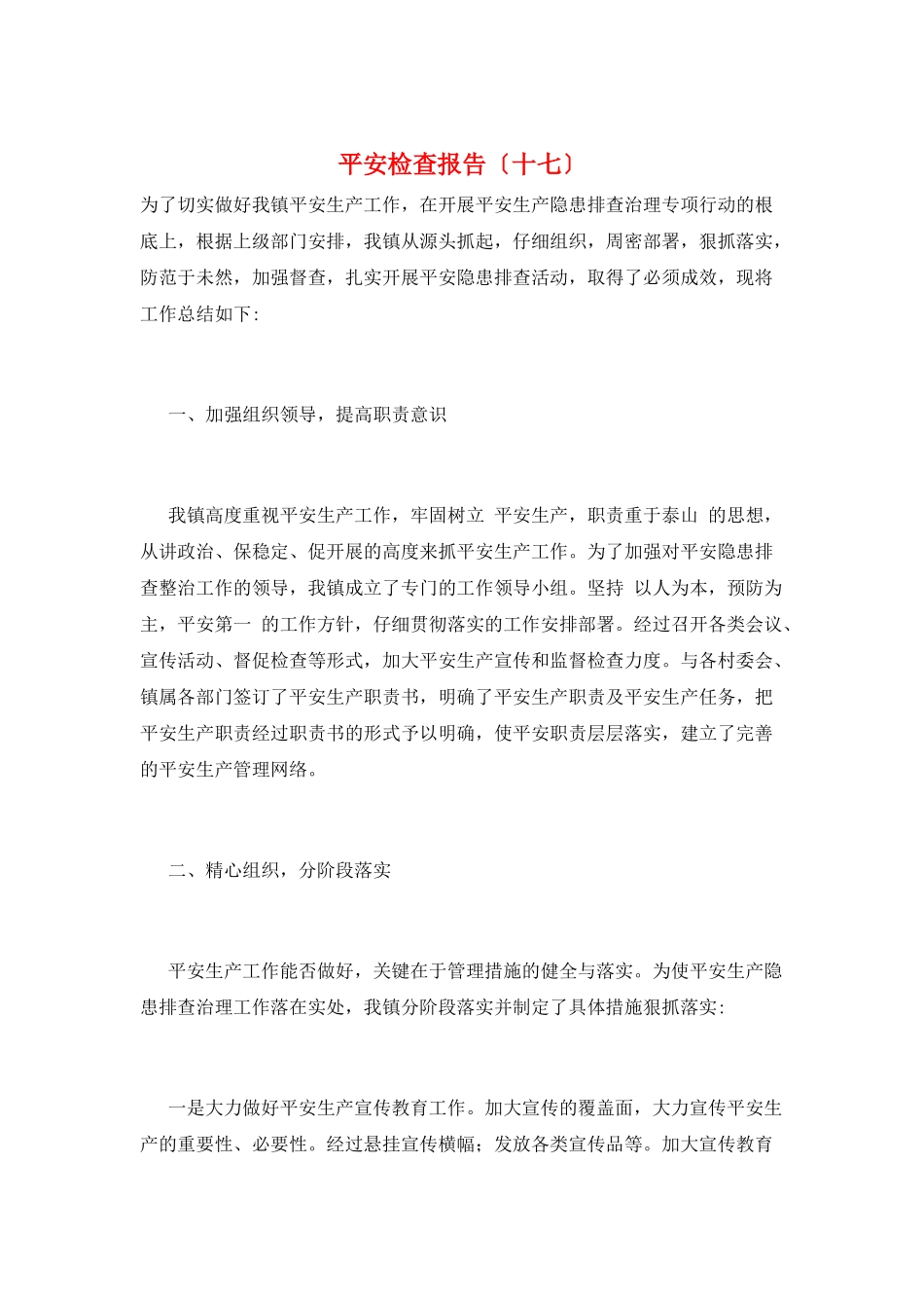 安全检查报告(十七)_第1页