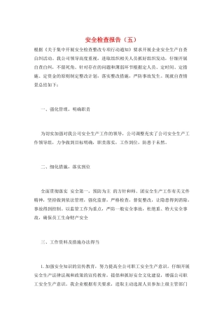 安全检查报告(五)