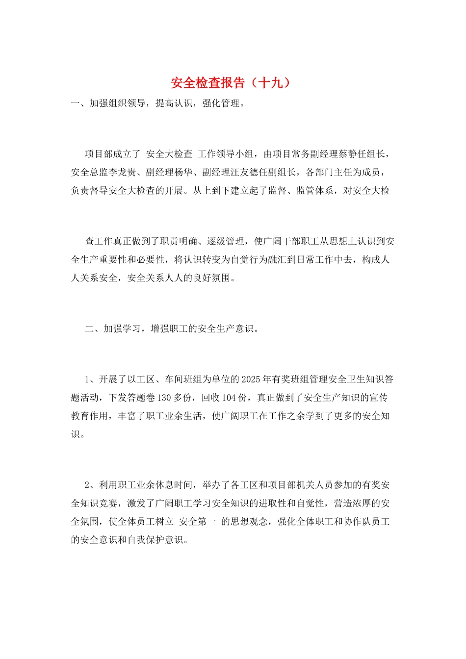 安全检查报告(十九)_第1页