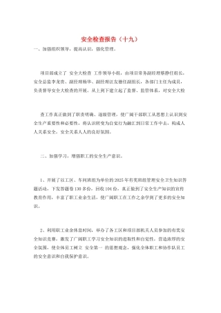 安全检查报告(十九)