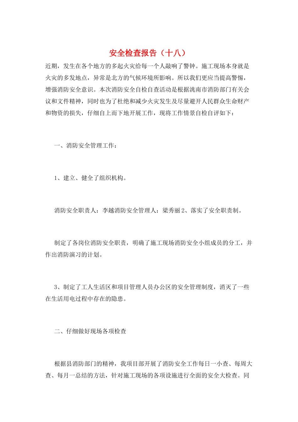 安全检查报告(十八)_第1页