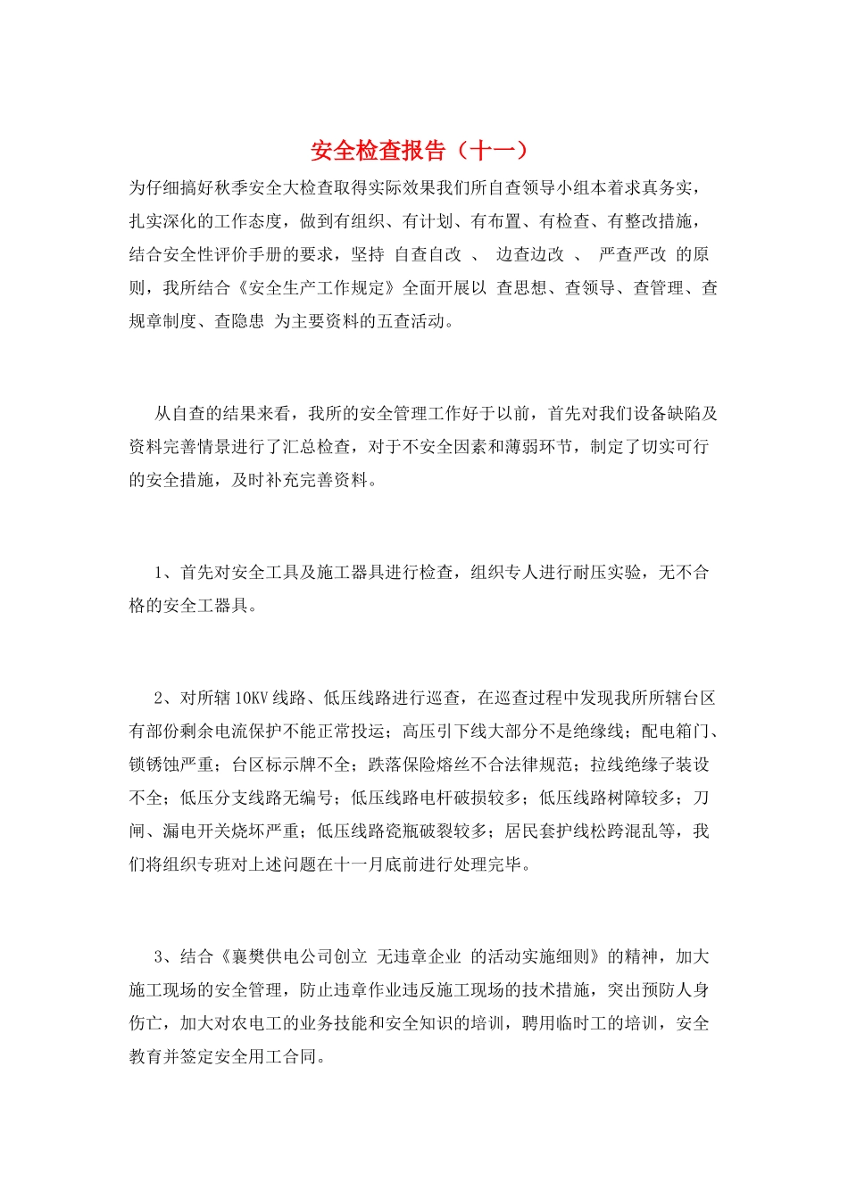 安全检查报告(十一)_第1页
