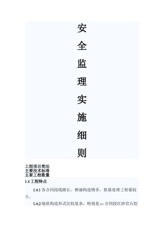 安全监理实施细则nn