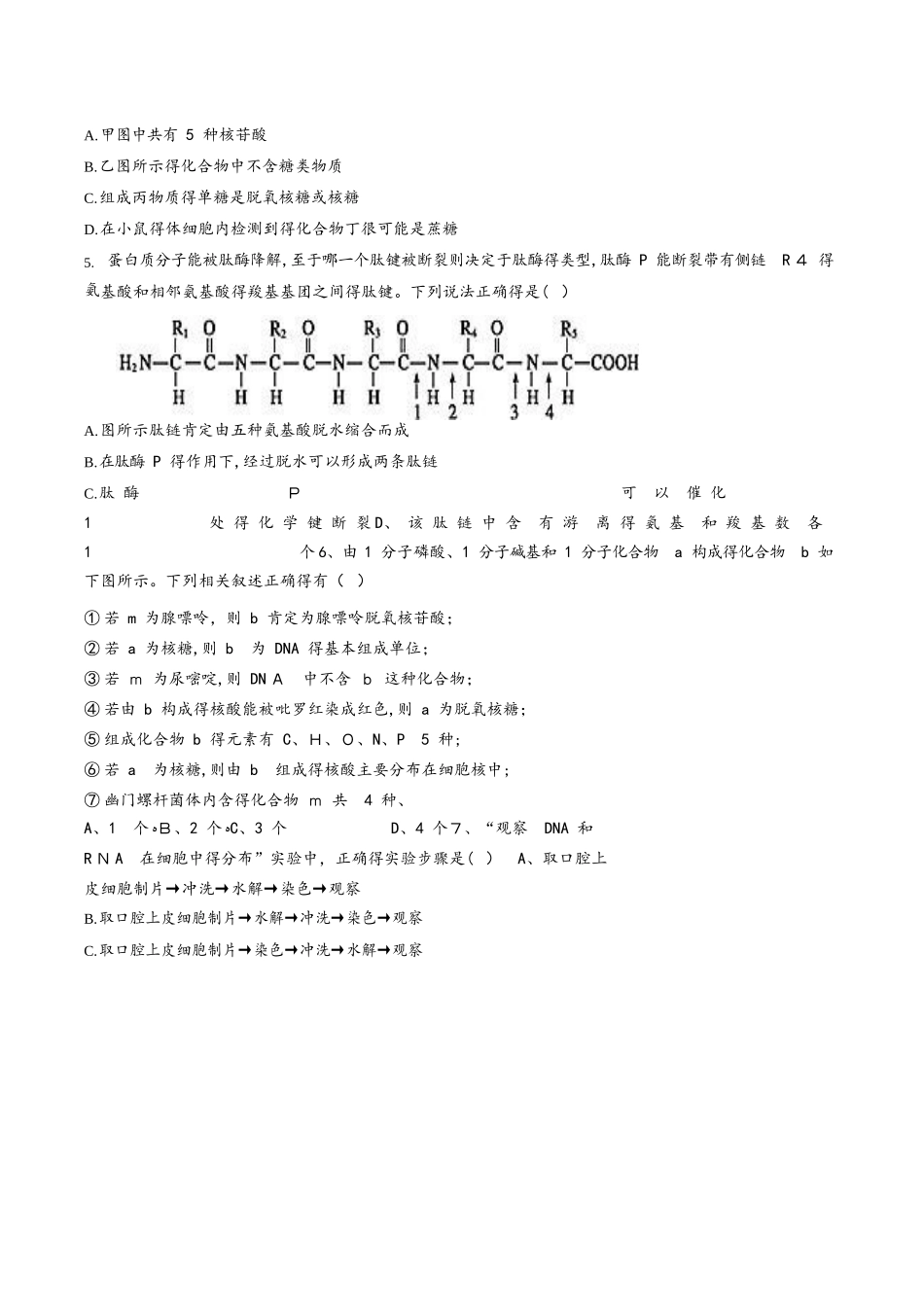 安徽省宿州市褚兰中学2025届高三上学期期中考试生物试题（word版，）_第2页