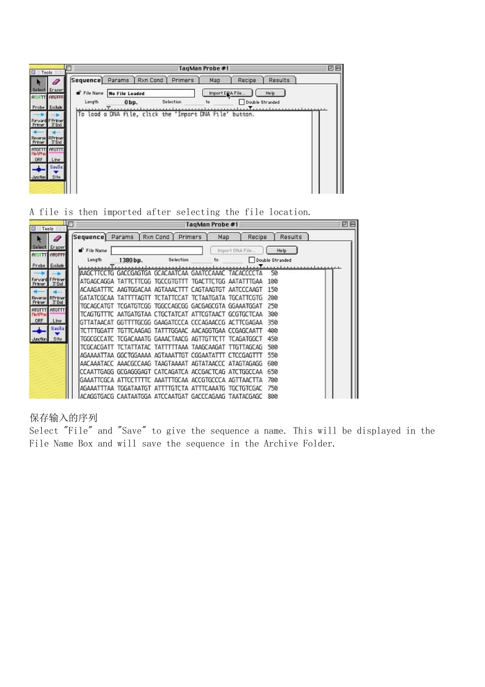 完整word版-实时定量PCR引物和探针设计操作步骤Primer-Express软件_第3页