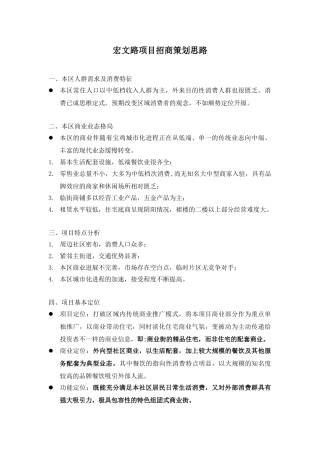 宏文路项目招商策划思路