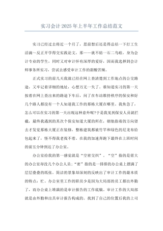 实习会计2025年上半年工作总结范文