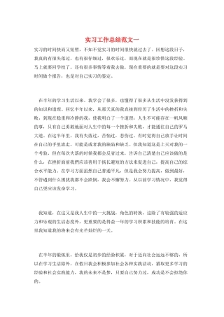 实习工作总结范文一