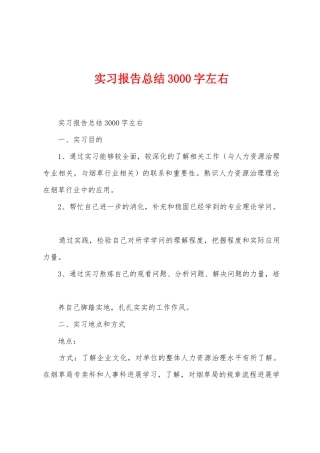 实习报告总结3000字左右