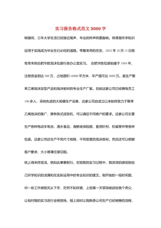 实习报告格式范文3000字