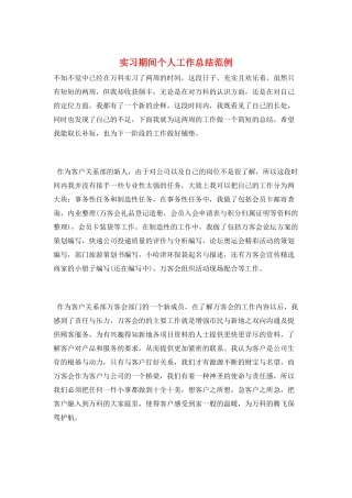 实习期间个人工作总结范例