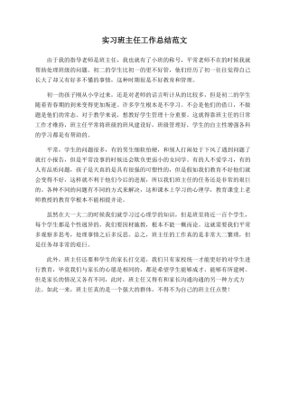 实习班主任工作总结范文