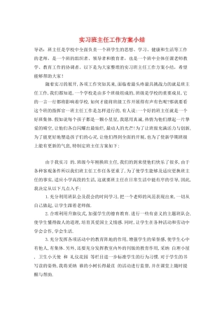 实习班主任工作计划小结