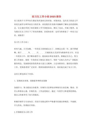 实习生工作小结2025报告