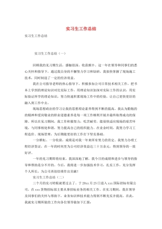 实习生工作总结