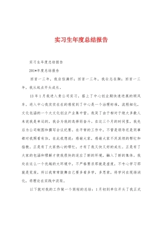 实习生年度总结报告