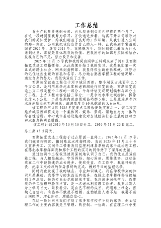 实习生监理工作总结